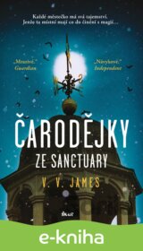 Čarodějky ze Sanctuary