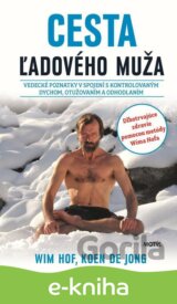 Cesta ľadového muža