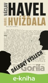 Dálkový výslech