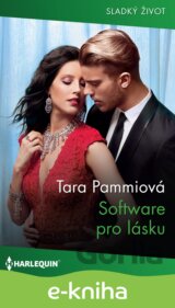 Software pro lásku