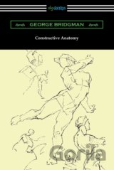 Constructive Anatomy