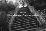 Mimochodem / Mimochodom