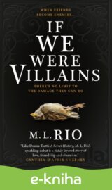 If We Were Villains