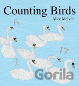 Counting Birds