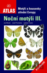 Noční motýli III.
