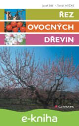 Řez ovocných dřevin