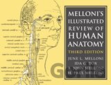 Melloniľs Illustrated Review of Human Anatomy