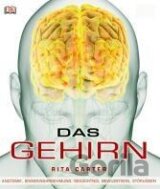 Das Gehirn