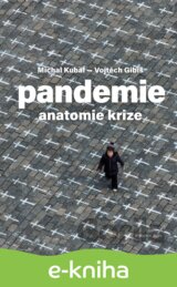 Pandemie: anatomie krize