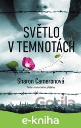 Světlo v temnotách
