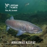 Kráľovná Karpát