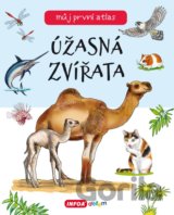 Úžasná zvířata