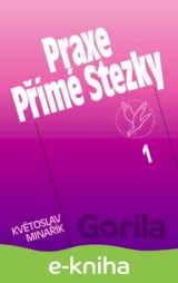 Praxe Přímé Stezky 1