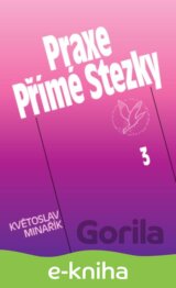 Praxe Přímé Stezky 3