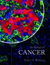 The Biology of Cancer