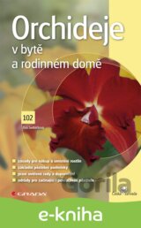 Orchideje v bytě a rodinném domě