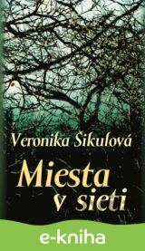 Miesta v sieti