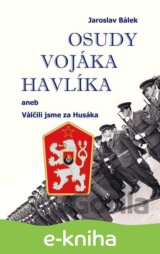 Osudy vojáka Havlíka