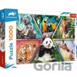 Animal Planet: Království zvířat