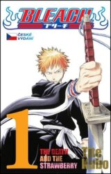 Bleach 1