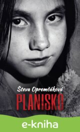 Planisko