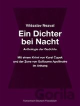 Ein Dichter bei Nacht