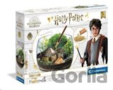 Terrarium Harry Potter