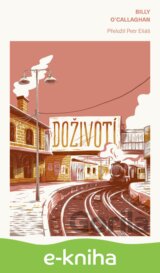 Doživotí