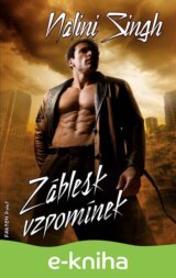 Záblesk vzpomínek