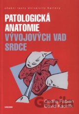 Patologická antomie vývojových vad srdce