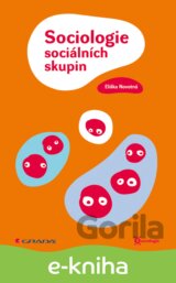 Sociologie sociálních skupin