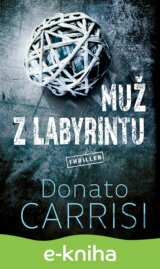 Muž z labyrintu