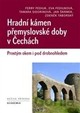 Hradní kámen přemyslovské doby v Čechách