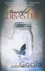 Beautiful Disaster