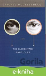 The Elementary Particles