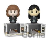 Funko POP Diorama: Harry Potter Anniversary - Hermione