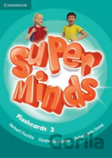 Super Minds Level 3