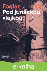 Pod junáckou vlajkou