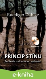 Princip stínu
