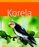Korela