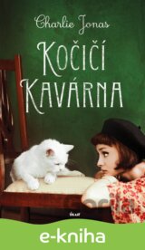 Kočičí kavárna
