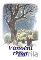 Vánoční třpyt