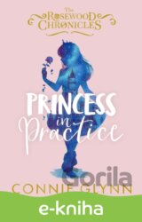 Princess in Practice
