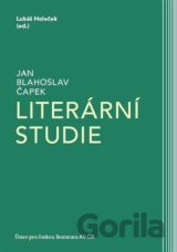 Literární studie