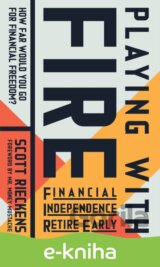 Playing with FIRE: Financial Independence Retire Early