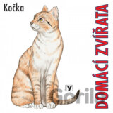 Domácí zvířata: Kočka