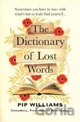 The Dictionary of Lost Words