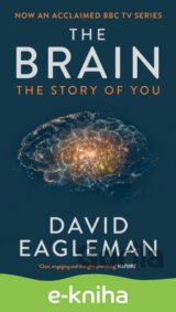 Brain