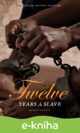 12 Years a Slave