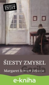 Šiesty zmysel